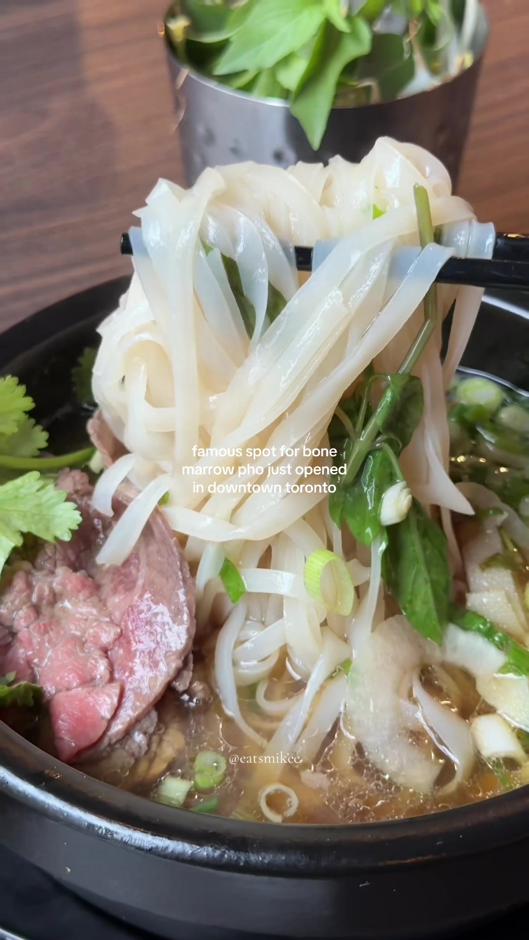 @Mikee | Toronto Foodie