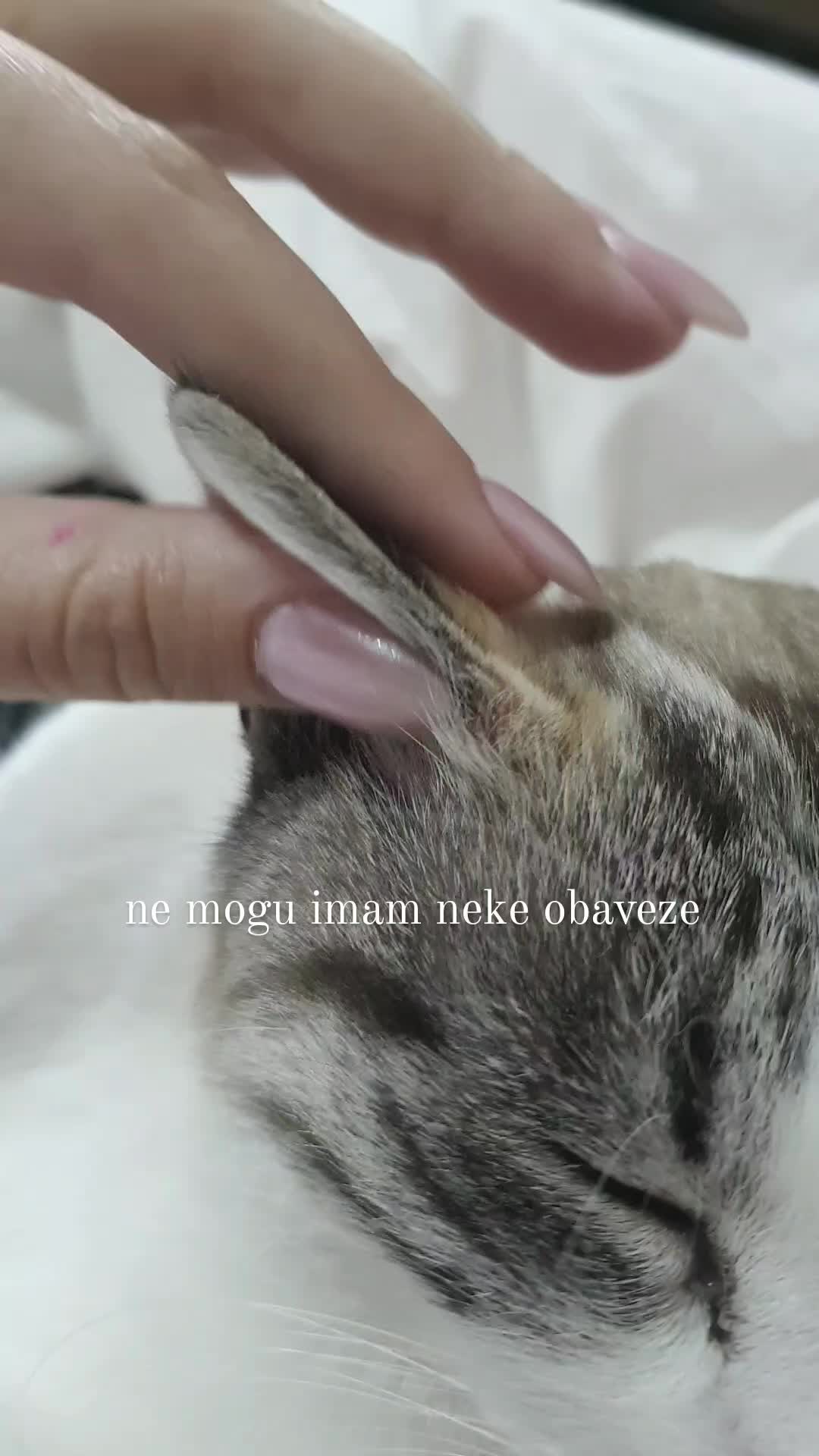 @Iva