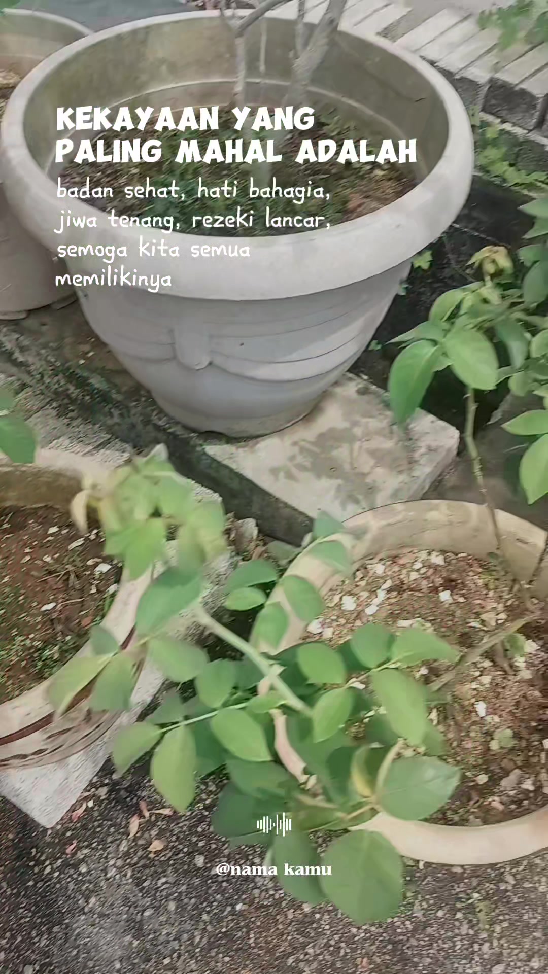 @Lin🌷