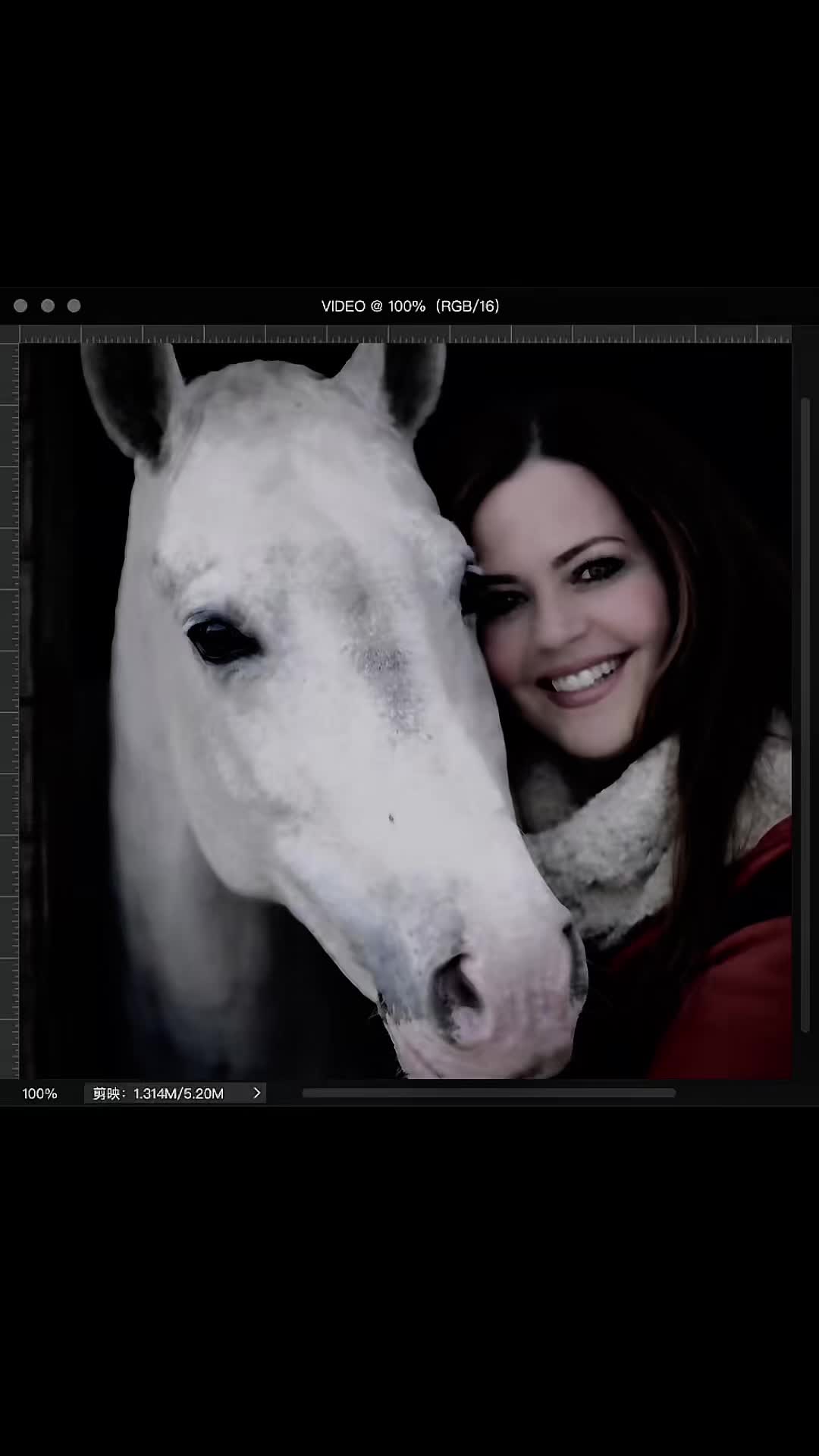 @Becky O&rsquo;Neill Equestrian