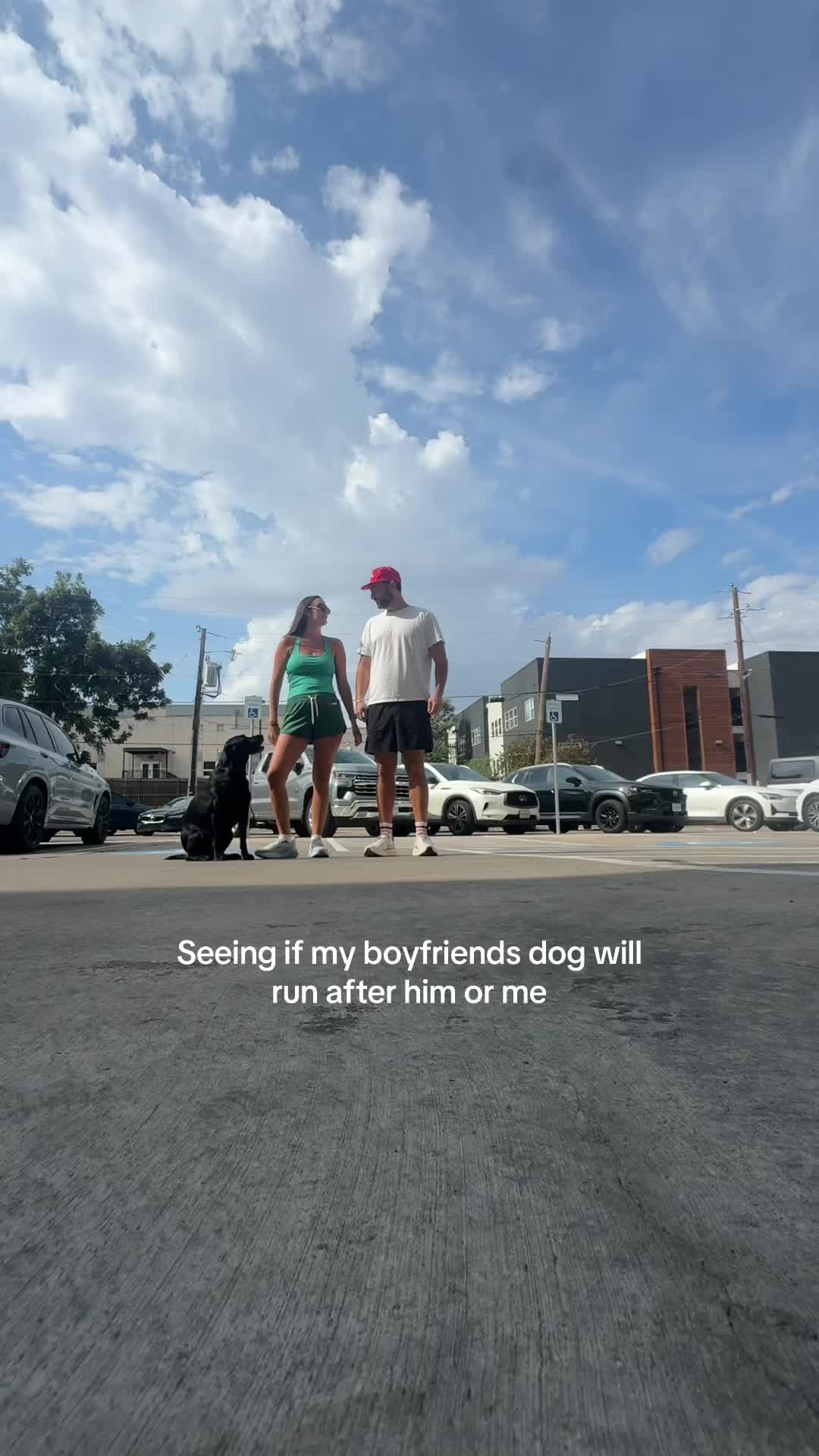 @dallasdogwalker