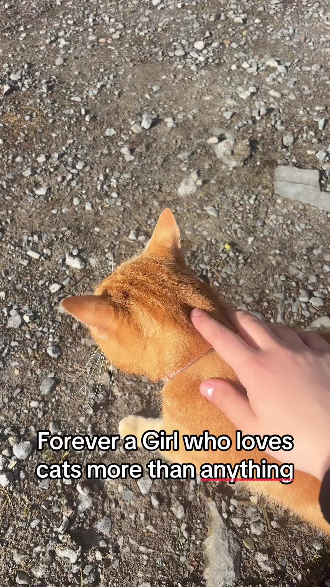 @𝐒ꨄ🇽🇰🇦🇱
