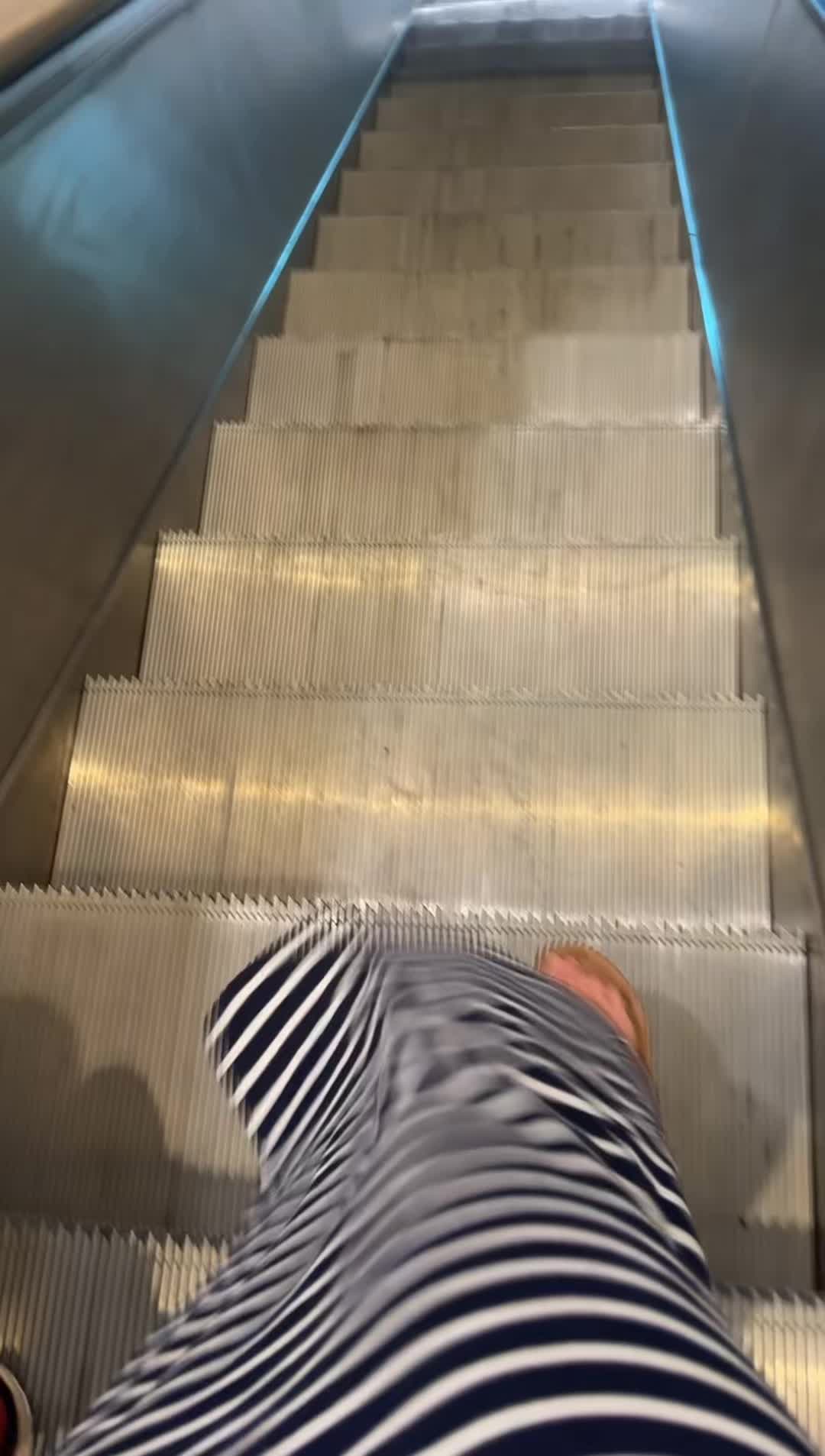 @i blame tiktok