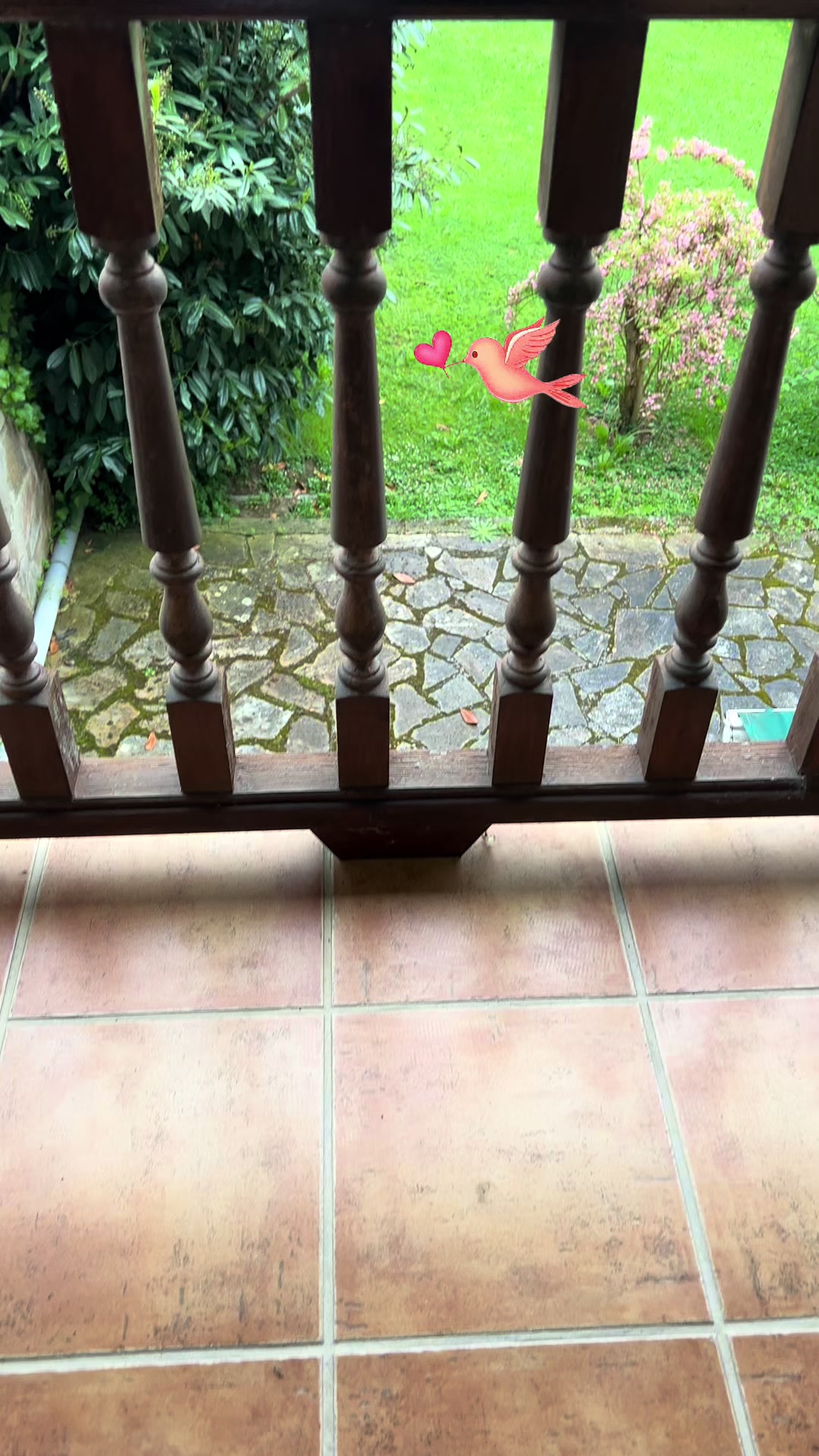 @olgal2505