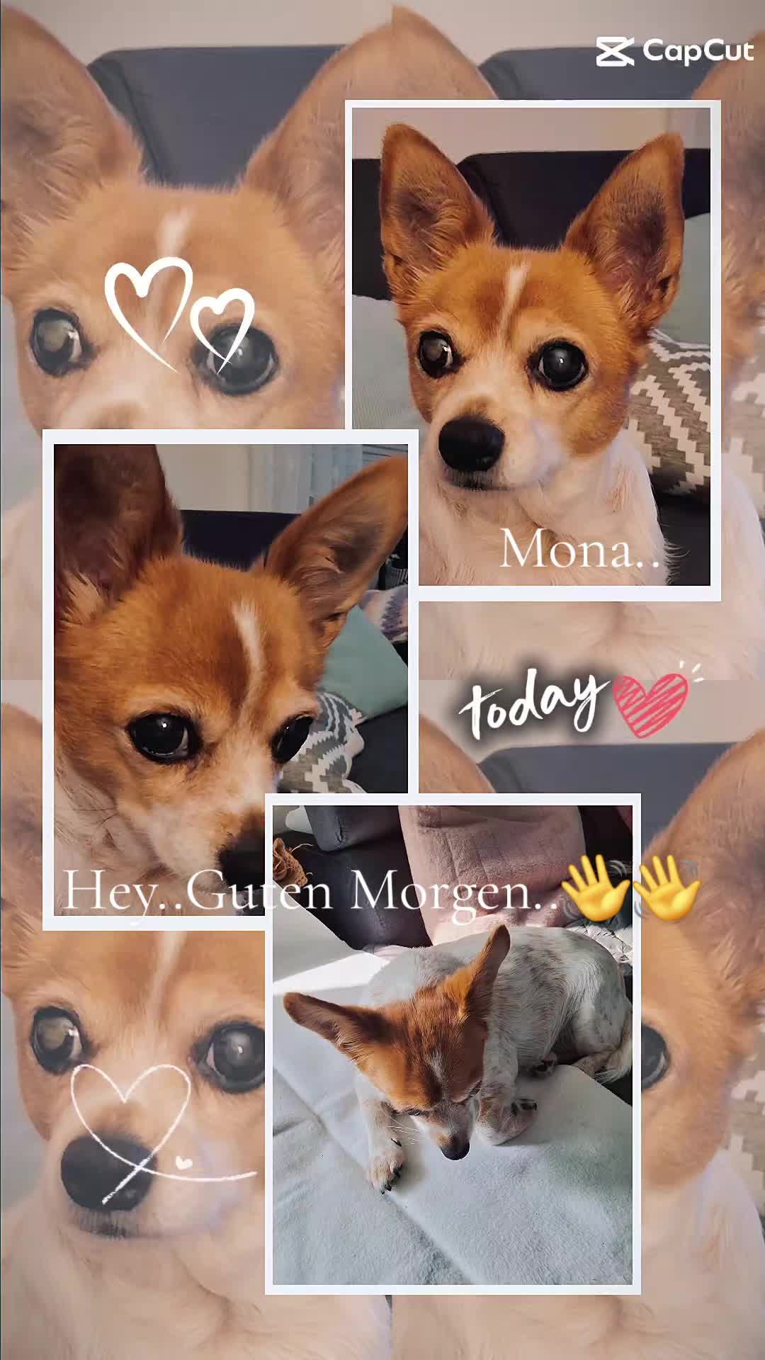 @Zweihorn