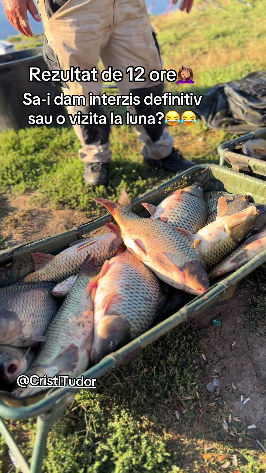 @Balta Sultan -Calarasi