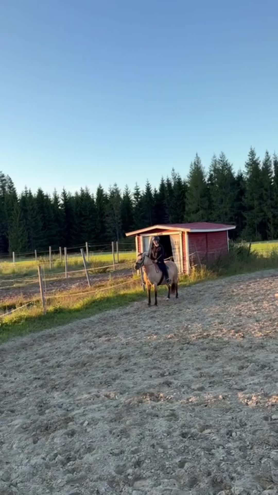 @🦄🦄