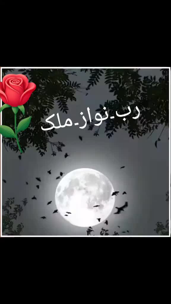 @ملک ربنواز سرگودھے الا