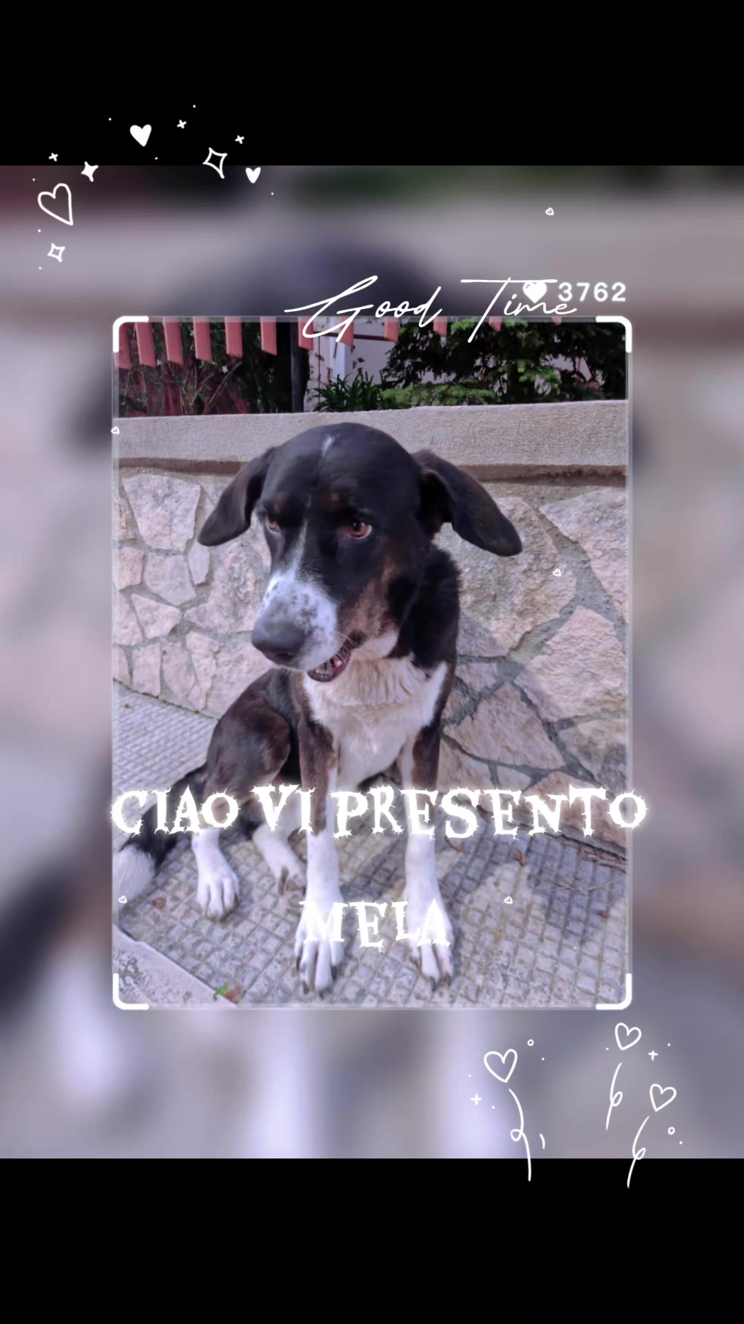 @La pi&ugrave; bella di Tik Tok