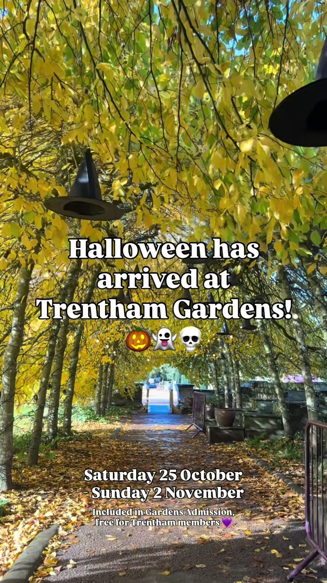 @Trentham Estate