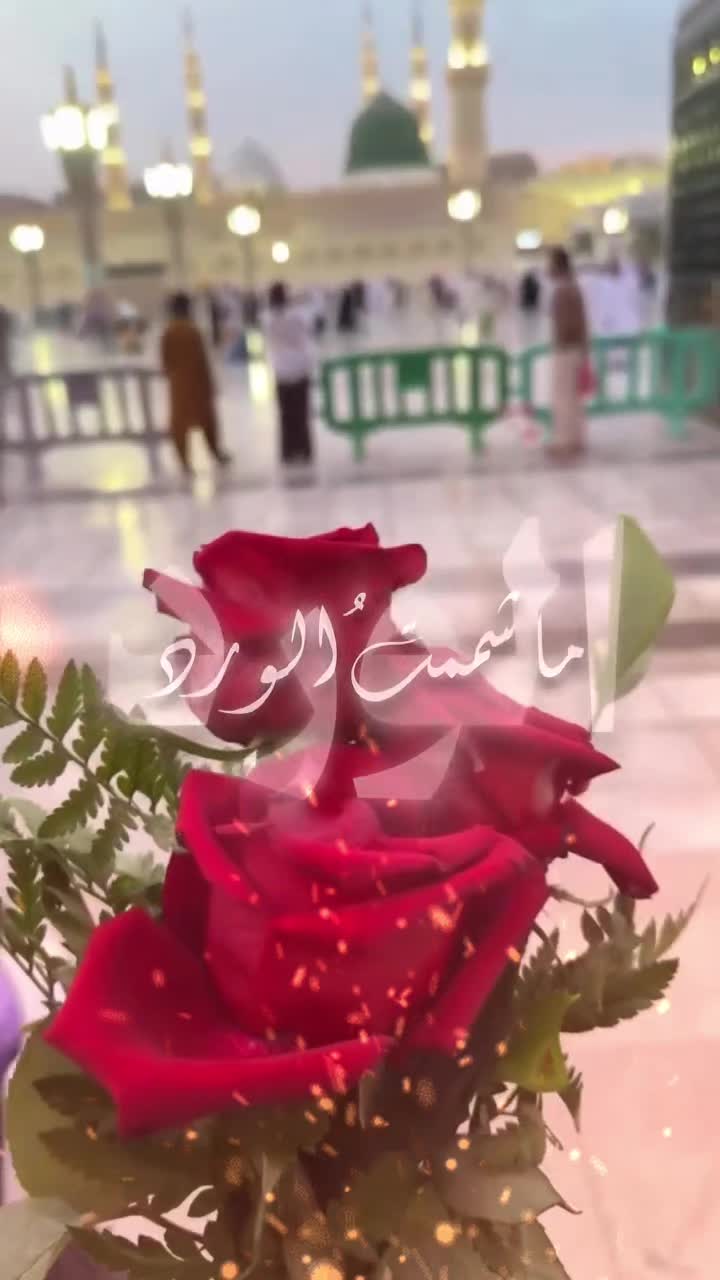 @𝔐𝔲𝔰𝔞𝔞𝔣𝔦𝔯-𝔠𝔩𝔬𝔱𝔥𝔦𝔫𝔤