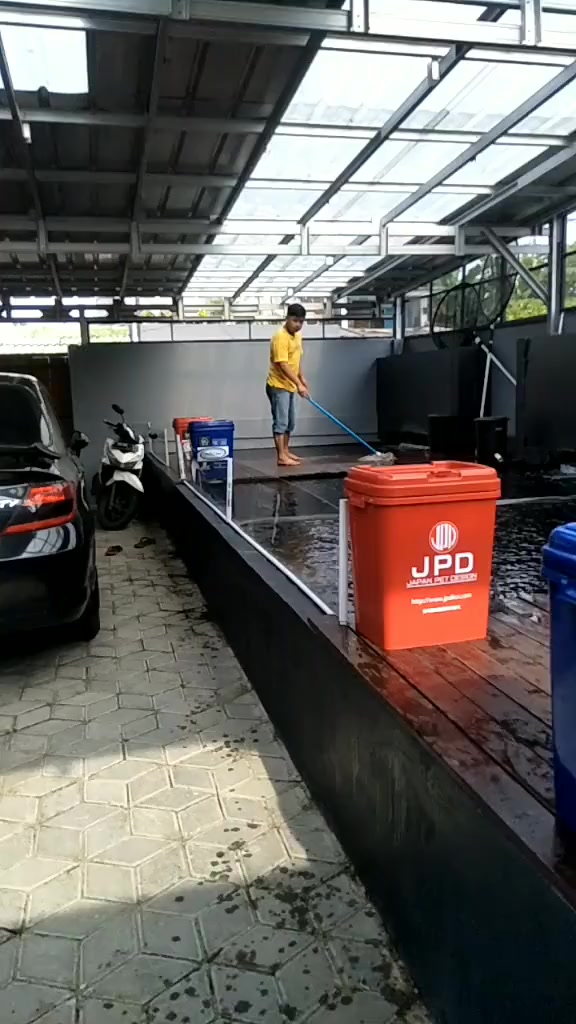 @guente koi