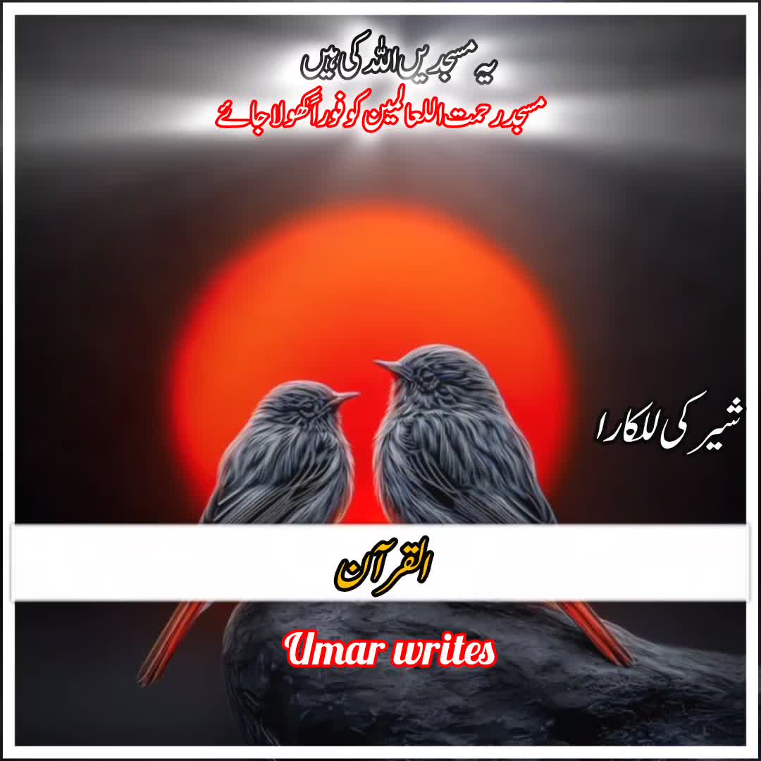 @☝️⭐༄گمنام مجاھد༄⭐💫