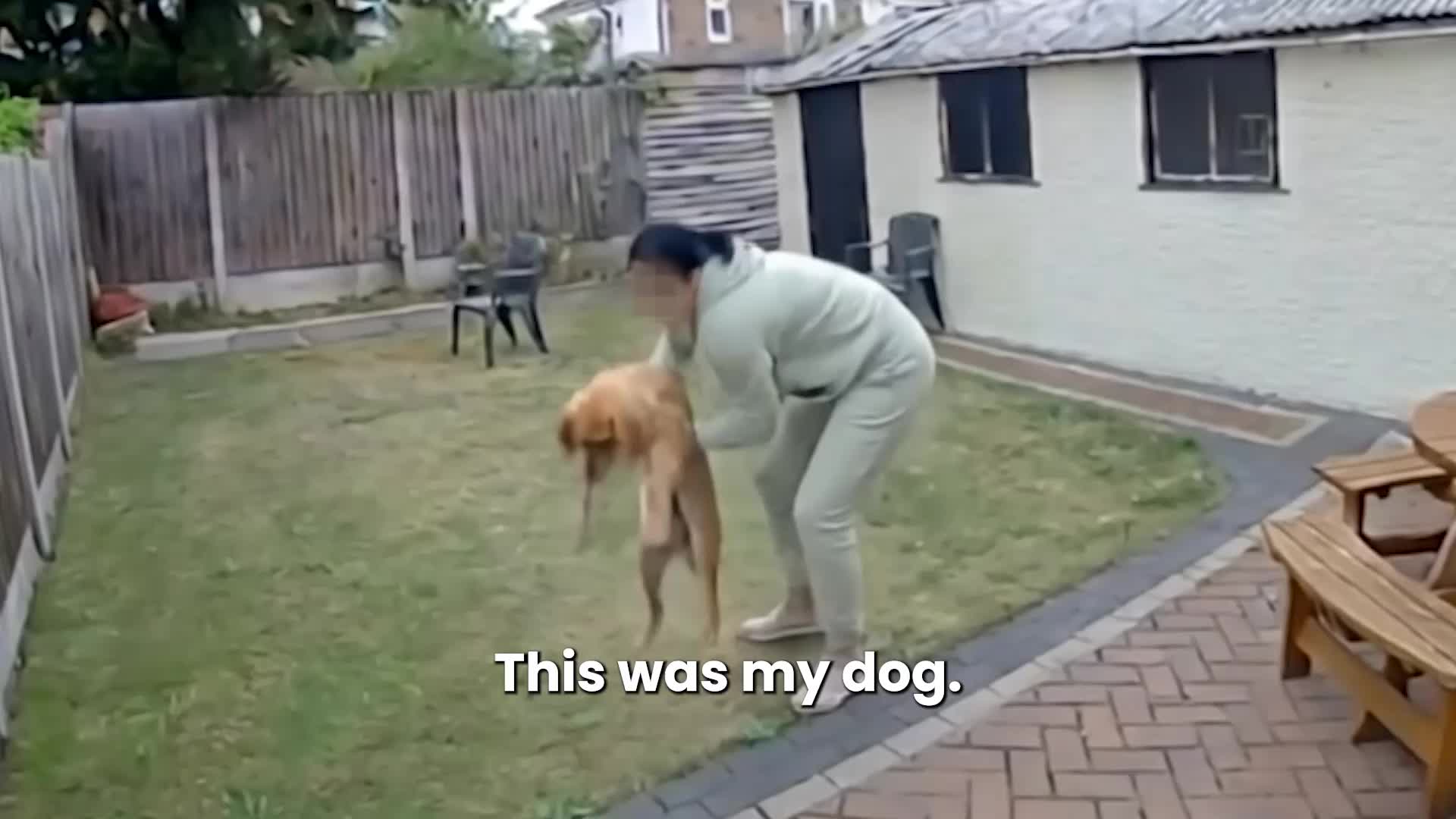 @Go Fetch