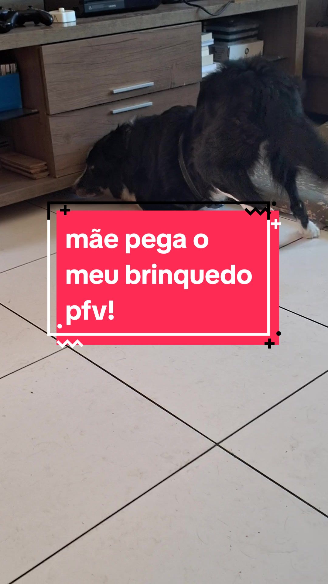 @marciamartins🦡