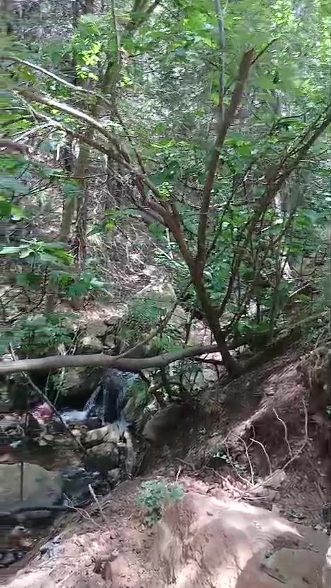@๐๐๐ฃ๐๐ โ๐๐๐๐๐๐