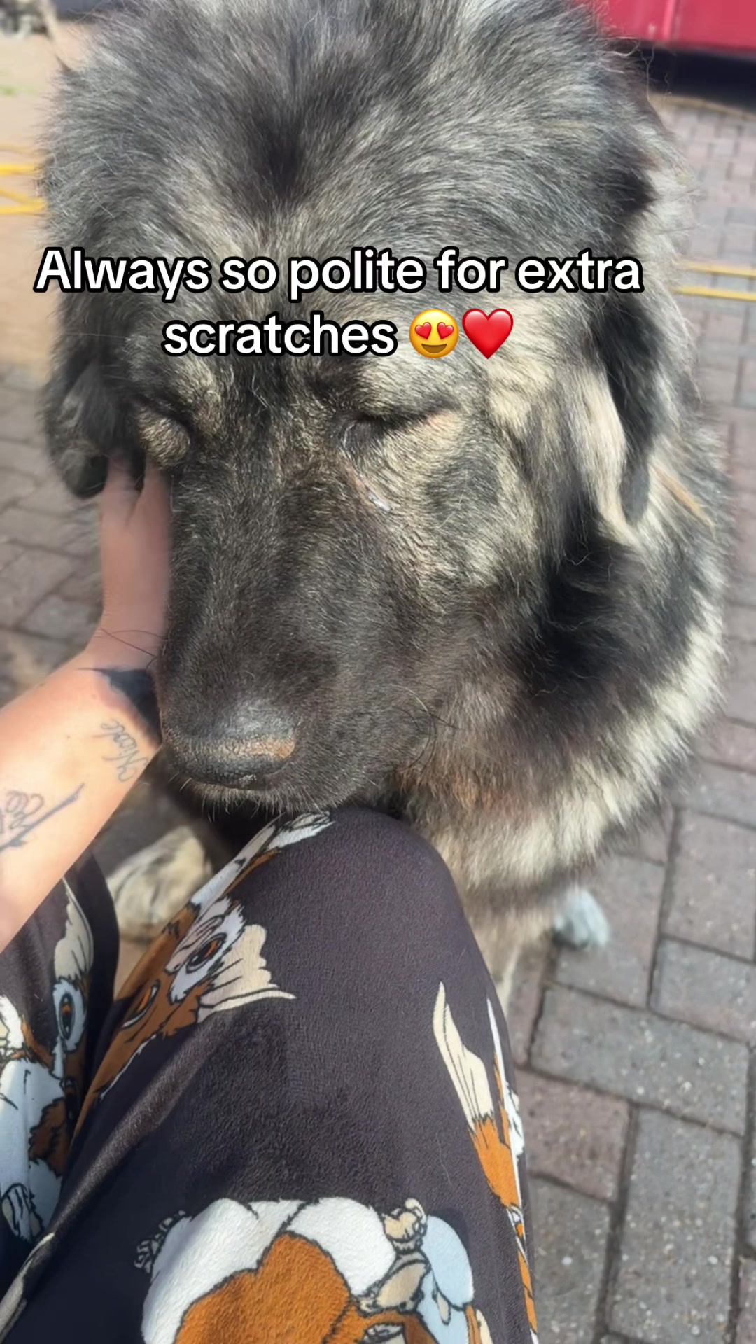 @mrsbroady85🌍teamMarleyMoore🌍