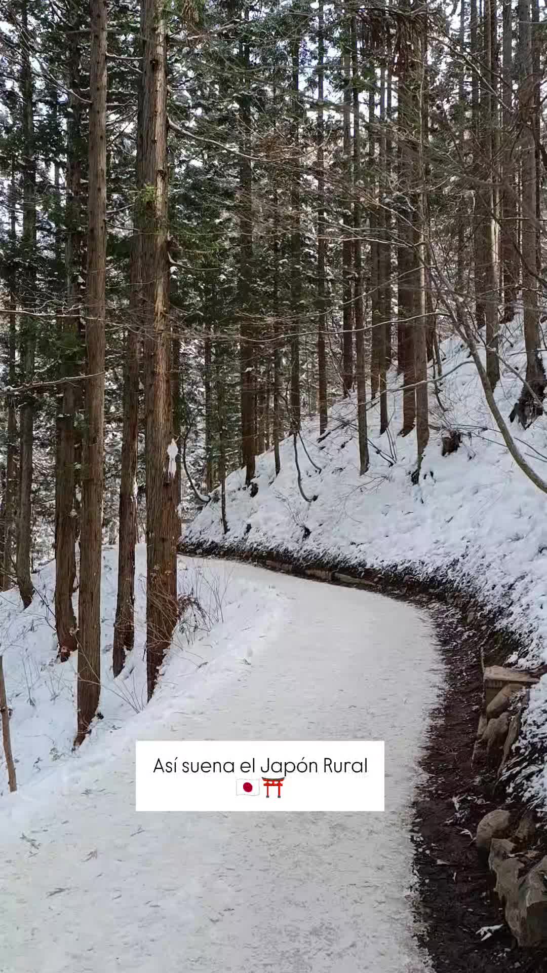 @Andaluza por el Japón Rural⛩️