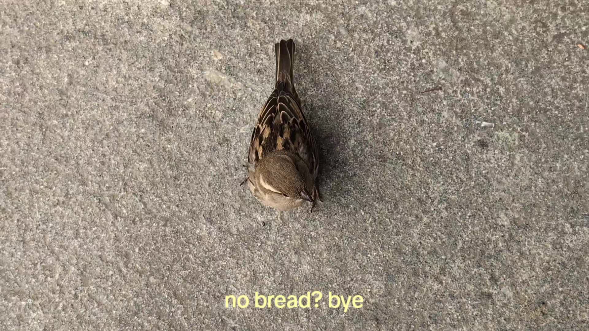 @im 📚💐