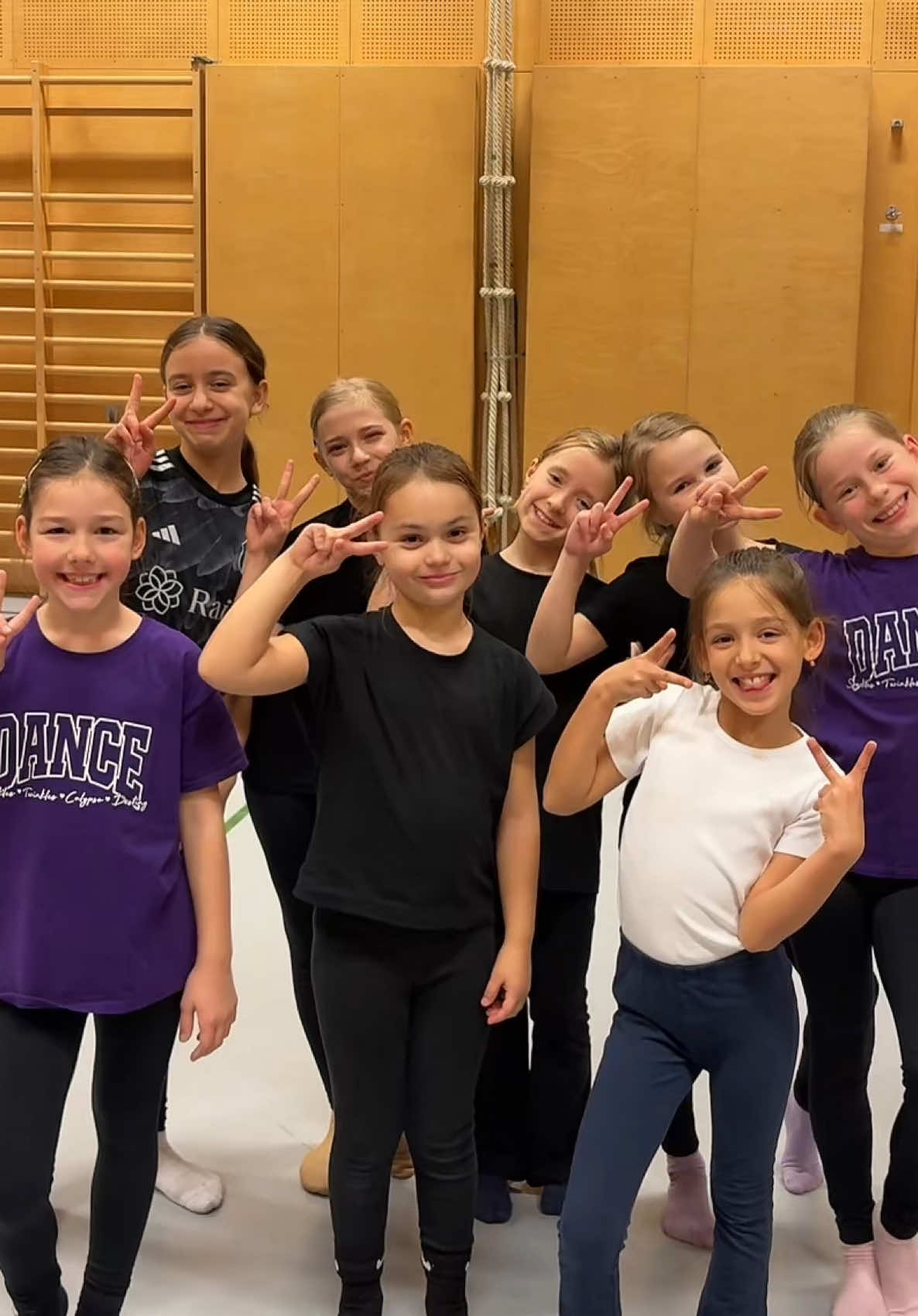 @danceteamvision
