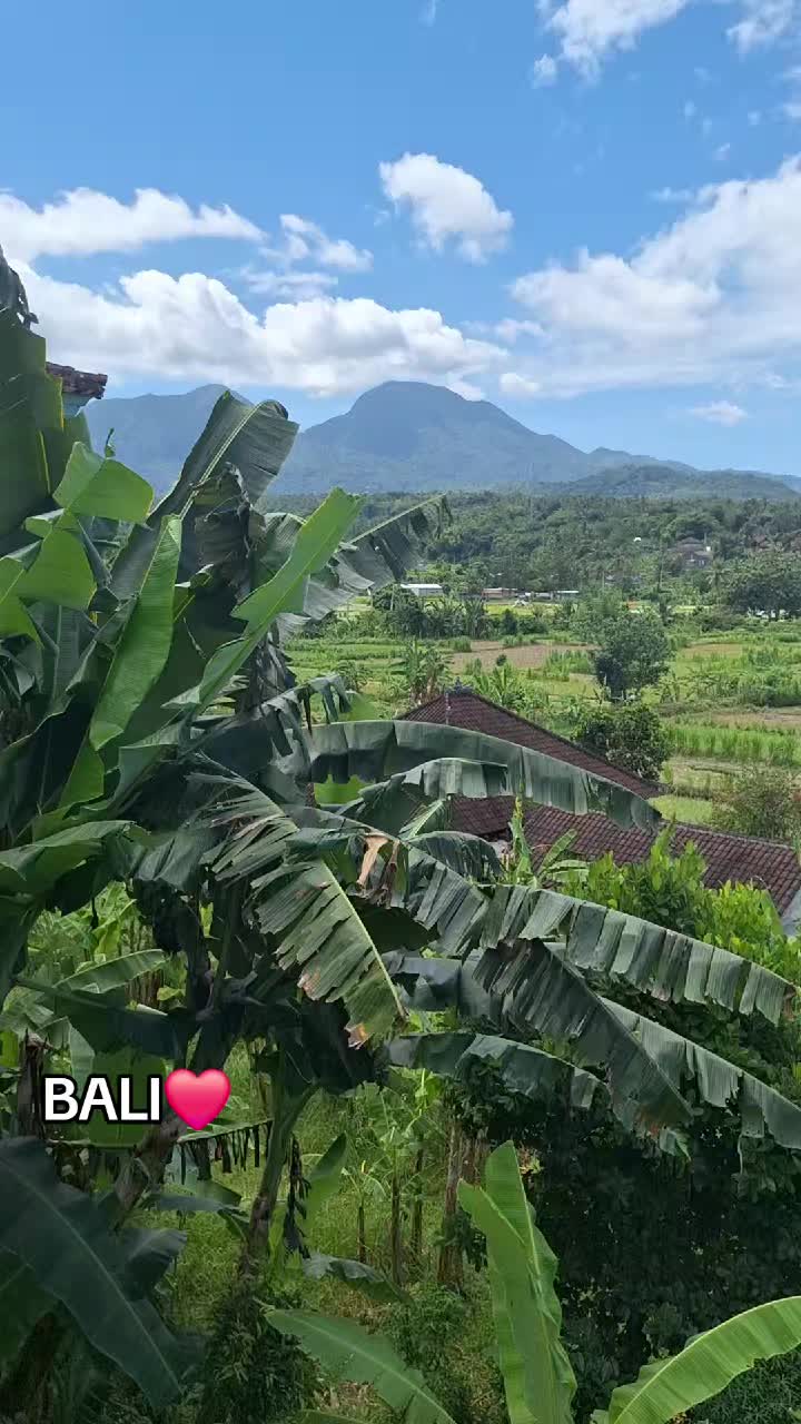 @Help by Sarah z Bali 🇲🇨🌴