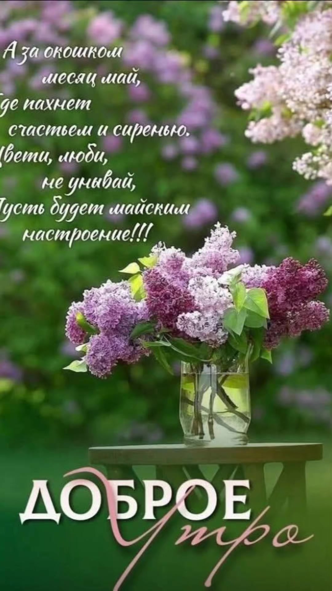 @леди Бодрум а 3