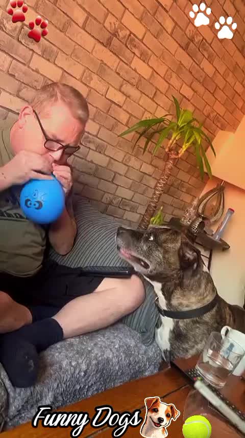 @Gulp 🇦🇹Team Chihuahua ❤