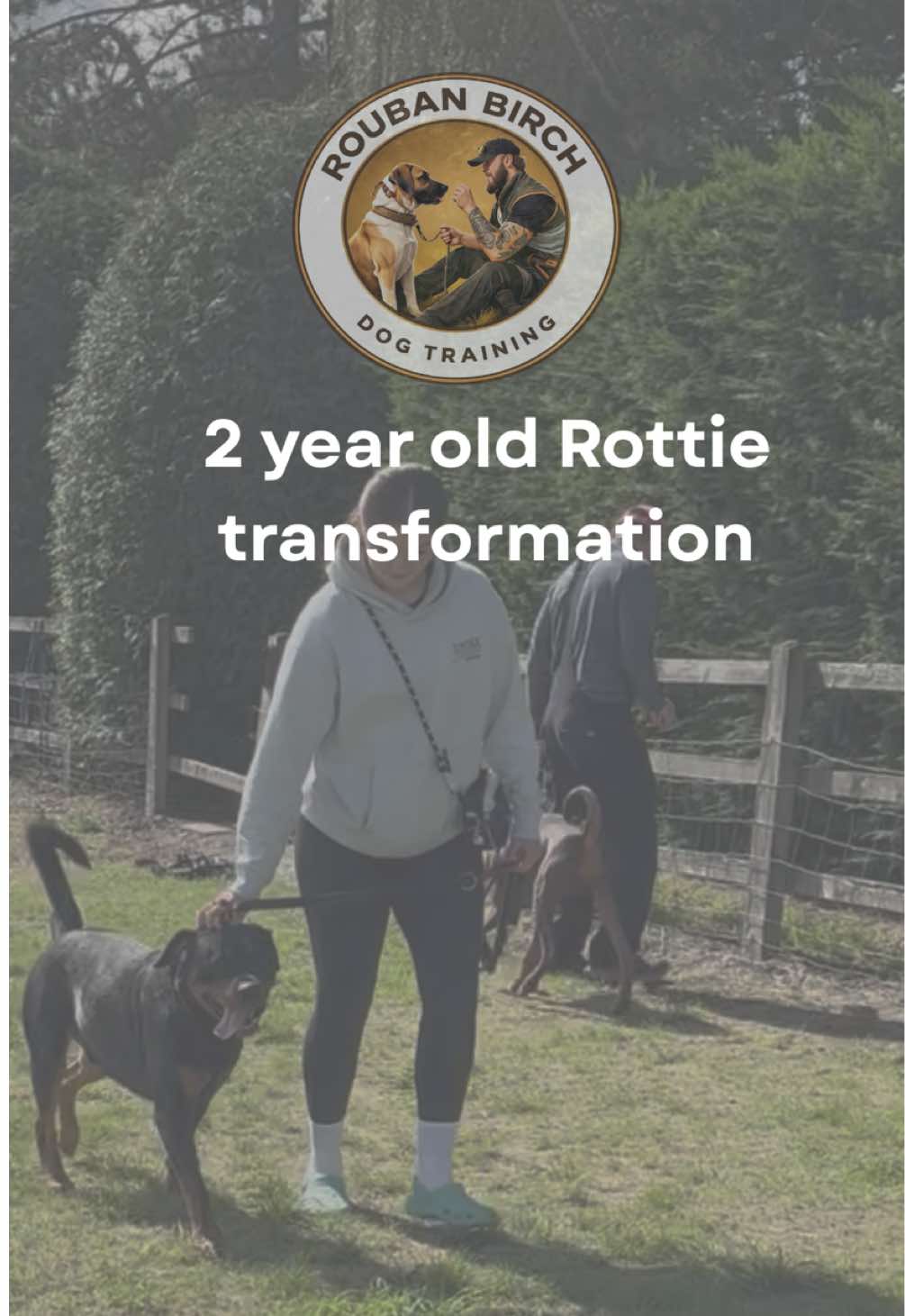 @rbdogtraining