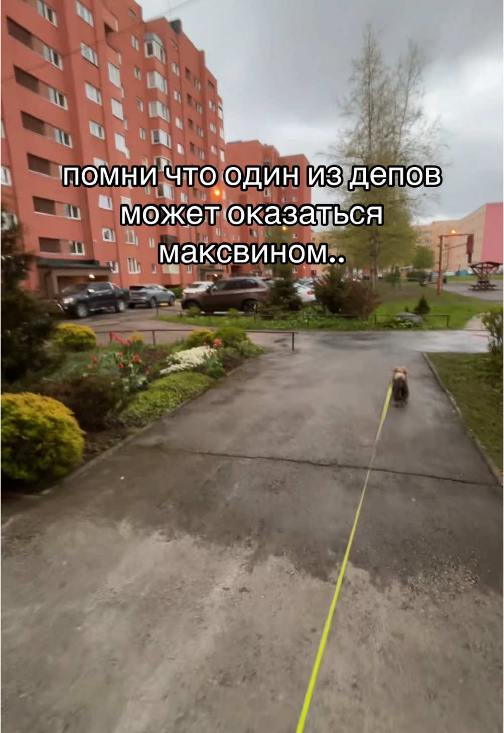 @тг: LUDIKIKAZIK