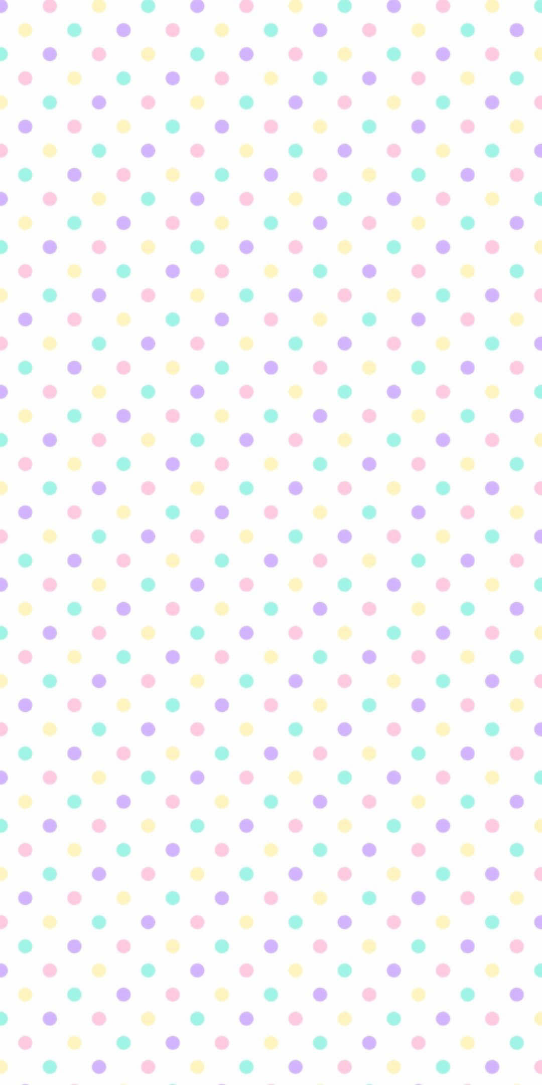 @≽^•⩊•^≼