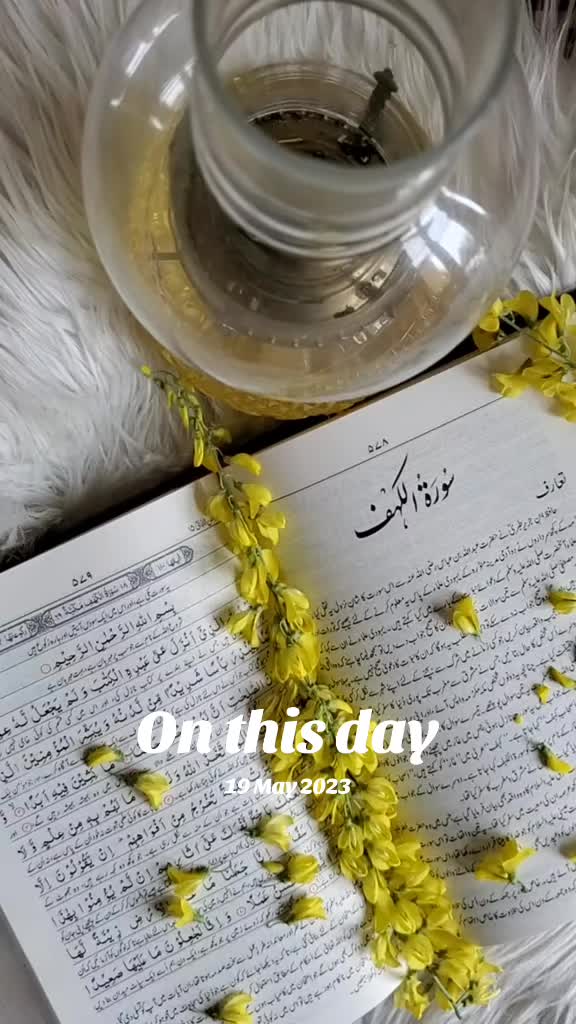@Shaista Moazzam Tari