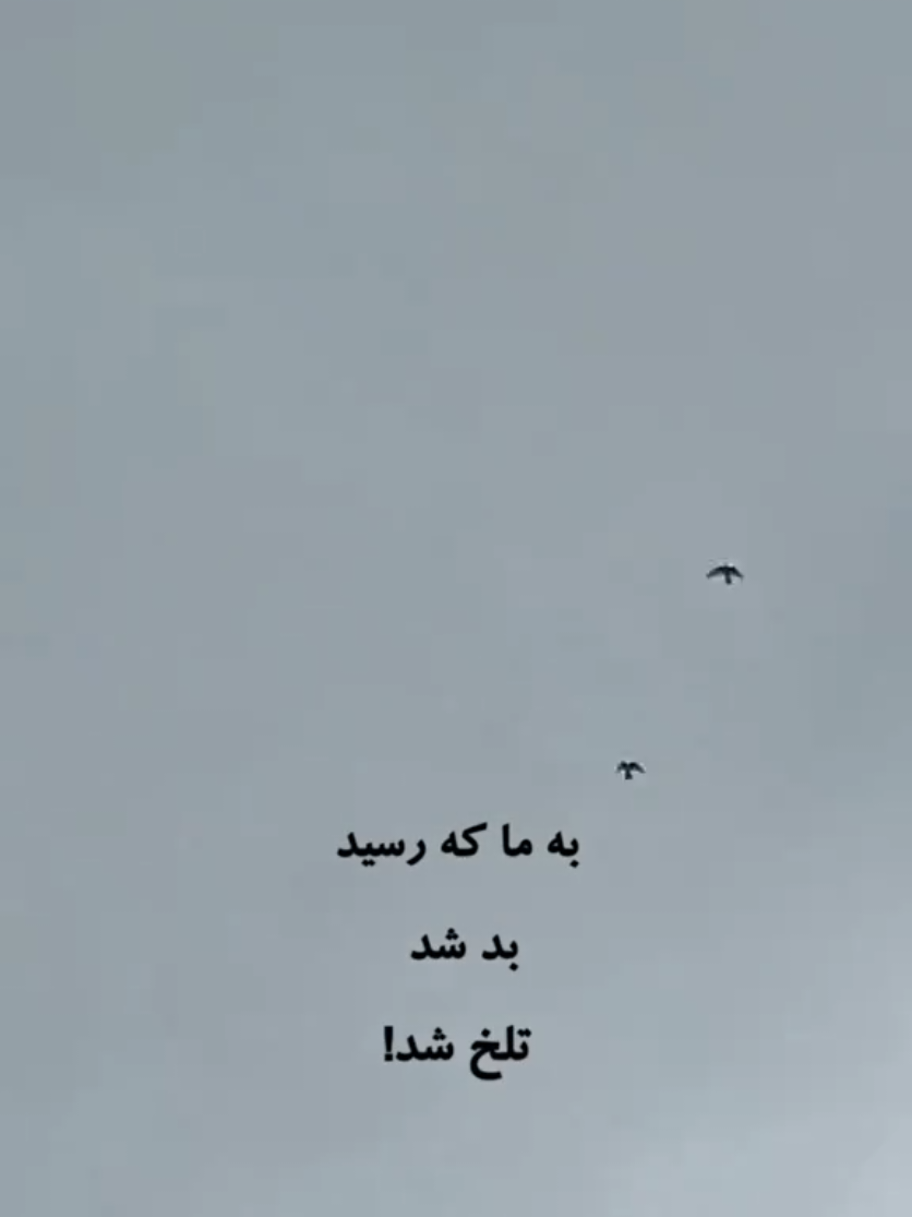 @clip_story