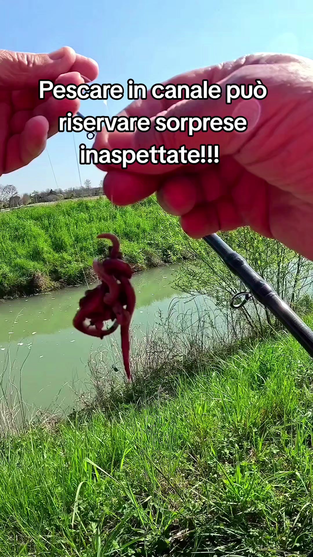 @🎣 maurizio 🇮🇹