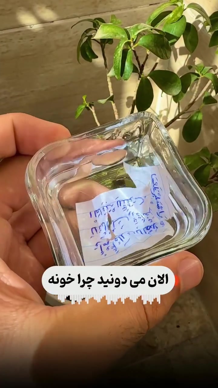 @doafalosta