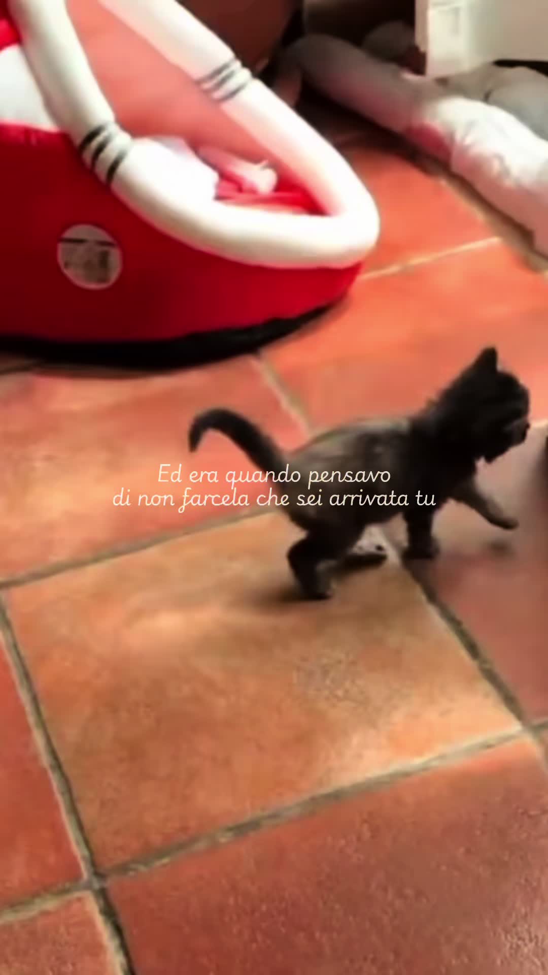 @Agostina Fattorusso