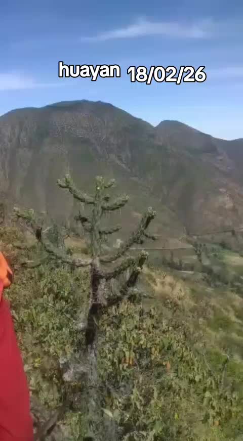 @pilu10