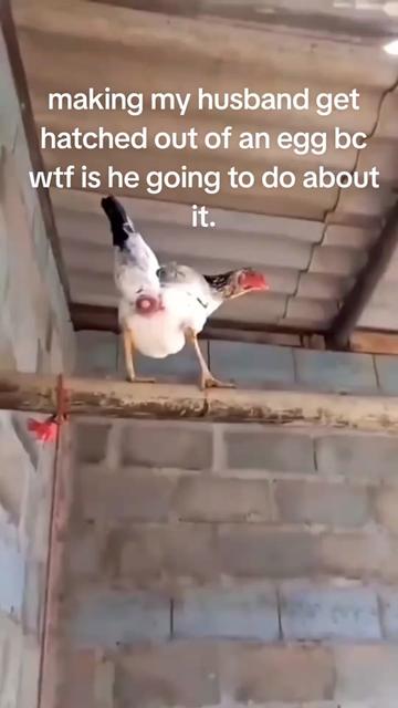 @Gothicpotato_