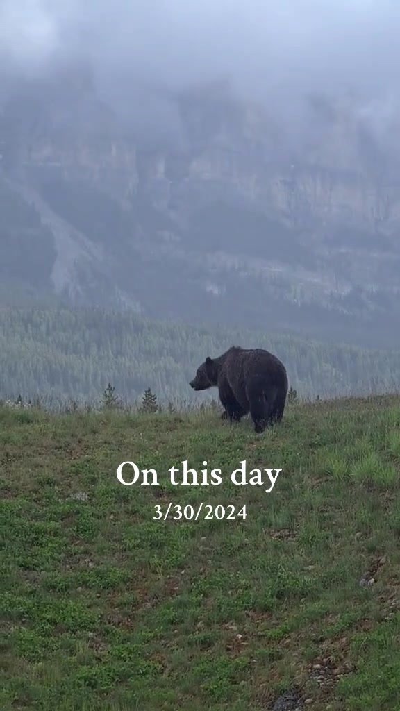 @Banff Nature and Wildlife