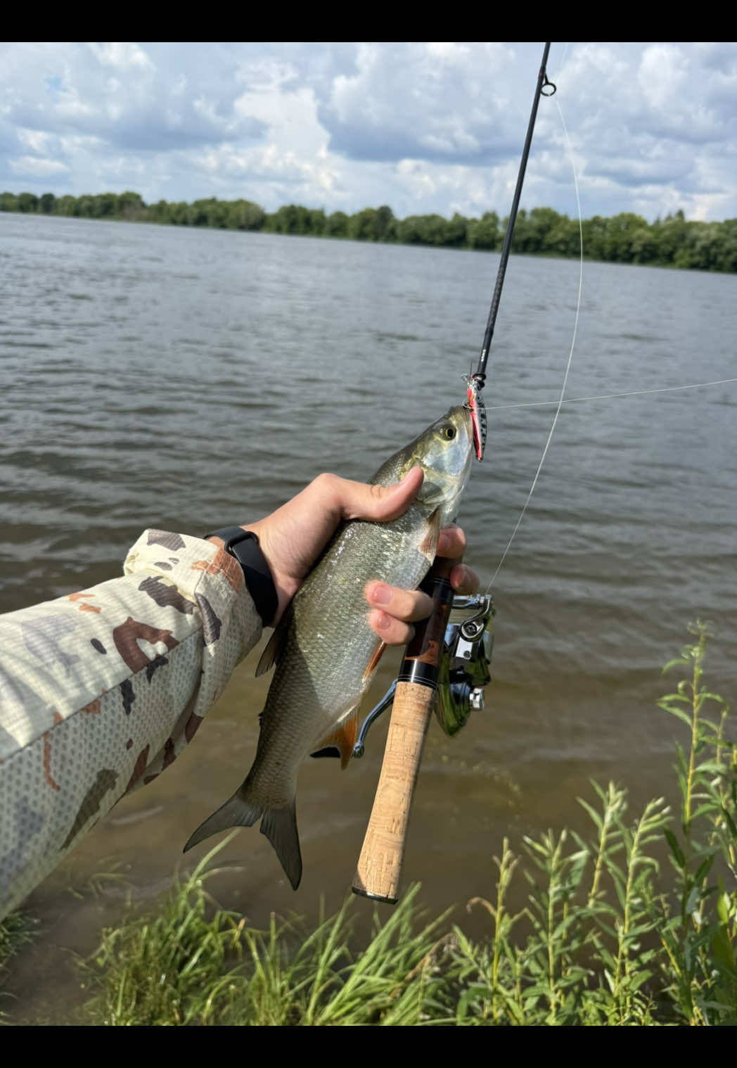 @FE_FISH