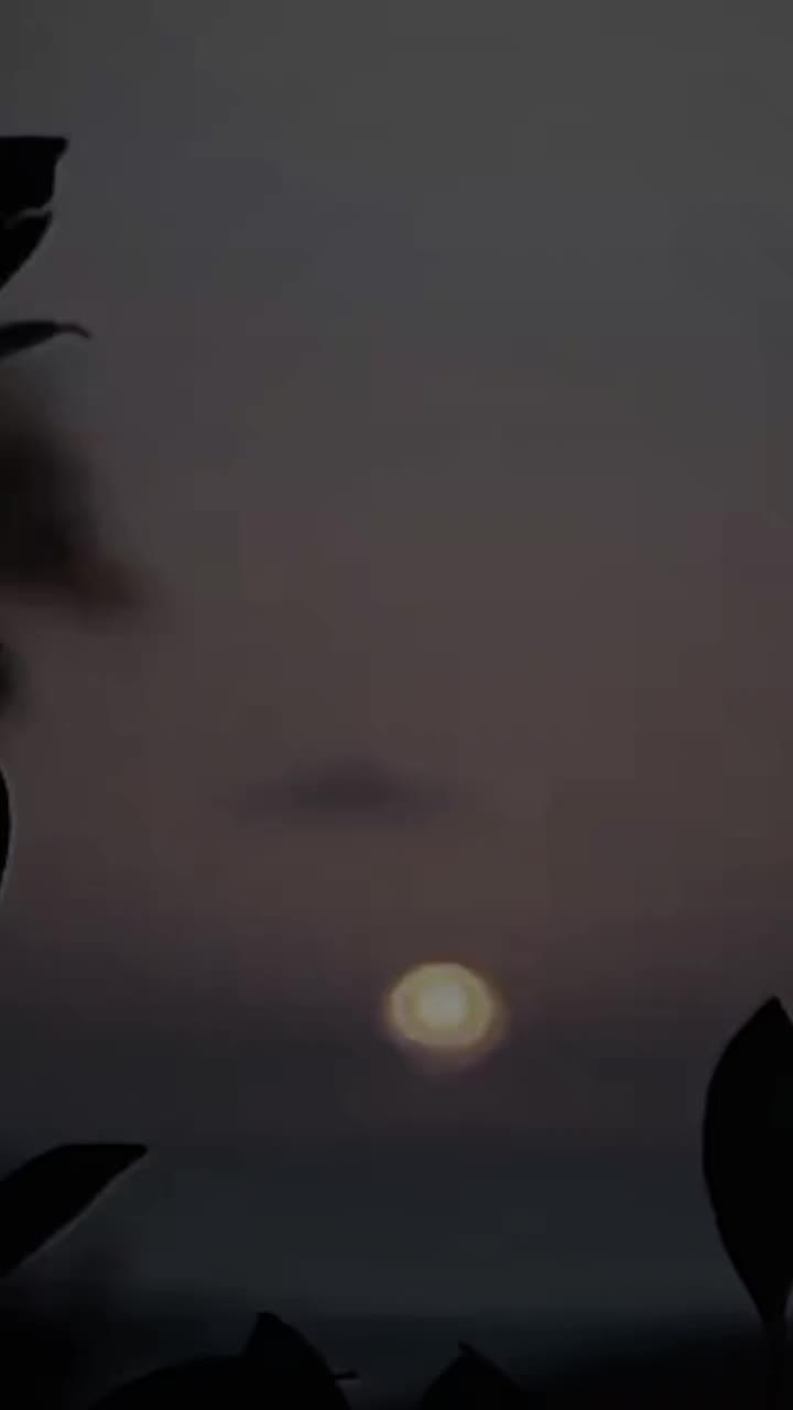 @ℙ𝕣𝕚𝕟𝕔𝕖𝕤𝕤👑𝑀🥀🫶