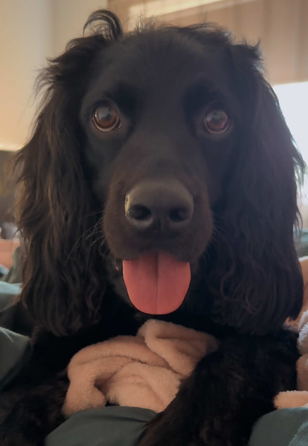 @PEPSI 🐾
