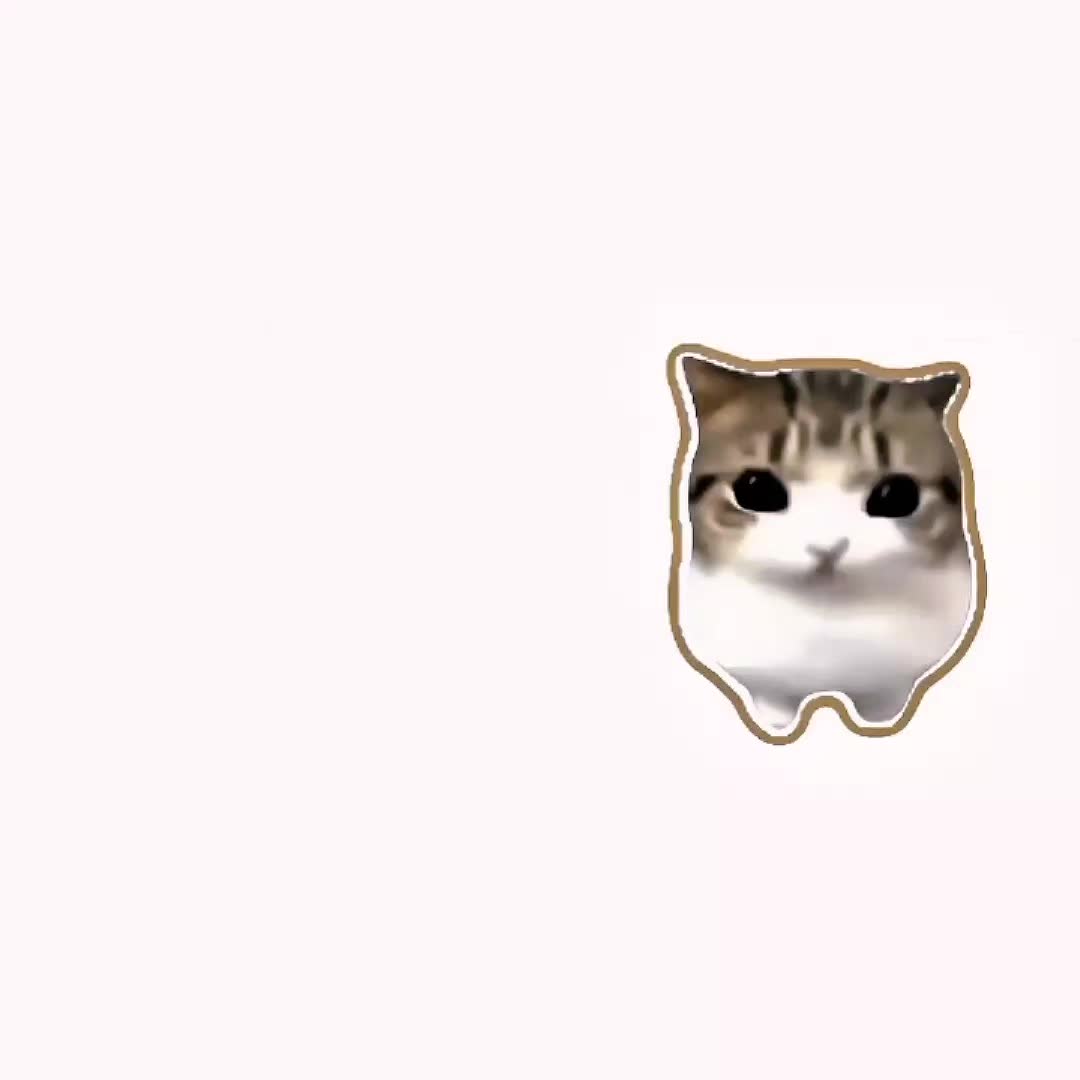 @Цой Жив