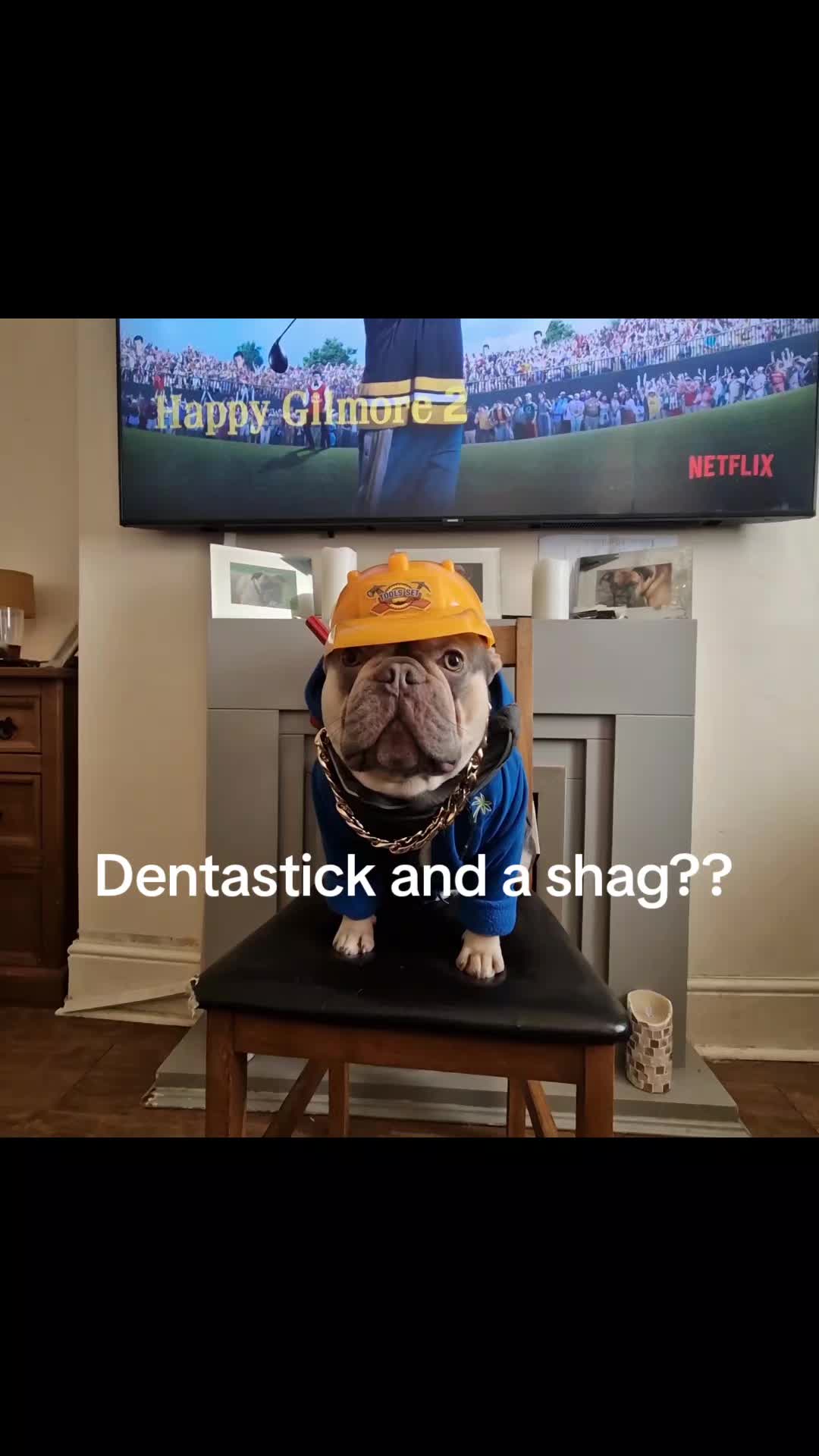 @Paddythefrenchie