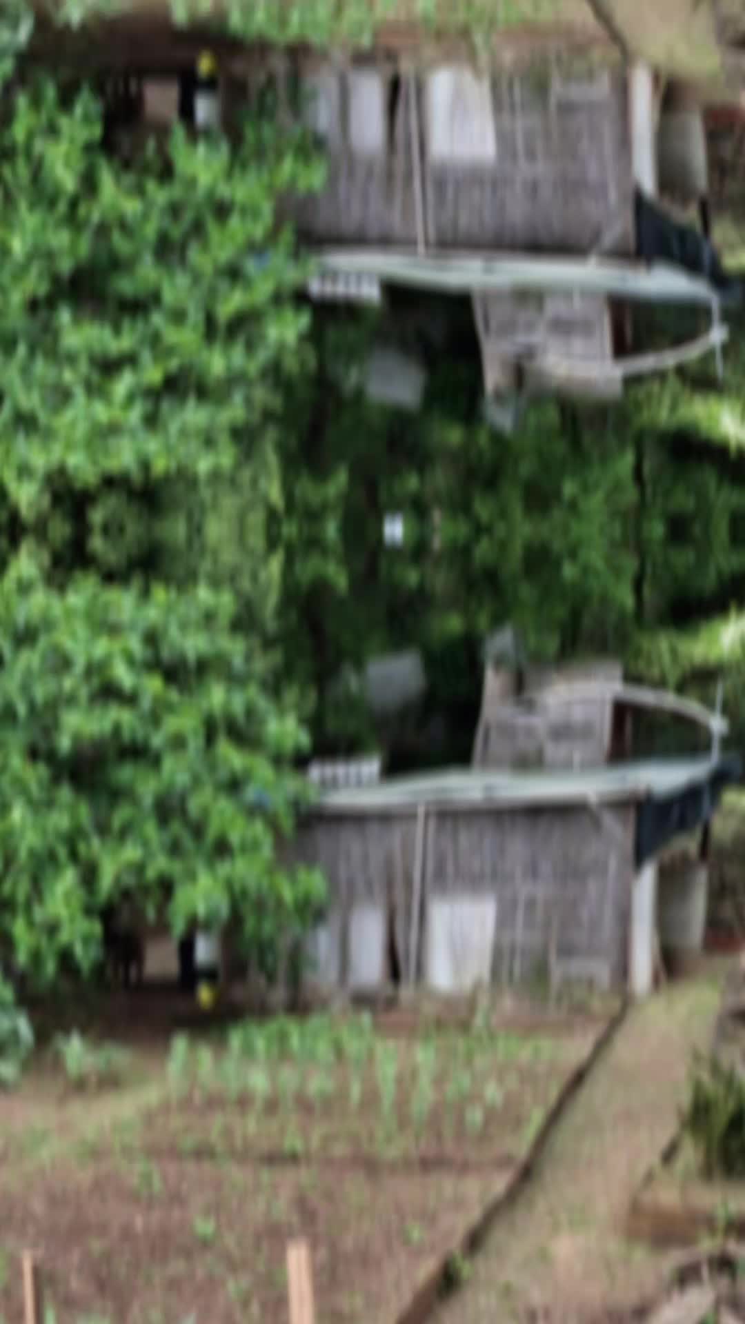@vespeettooo