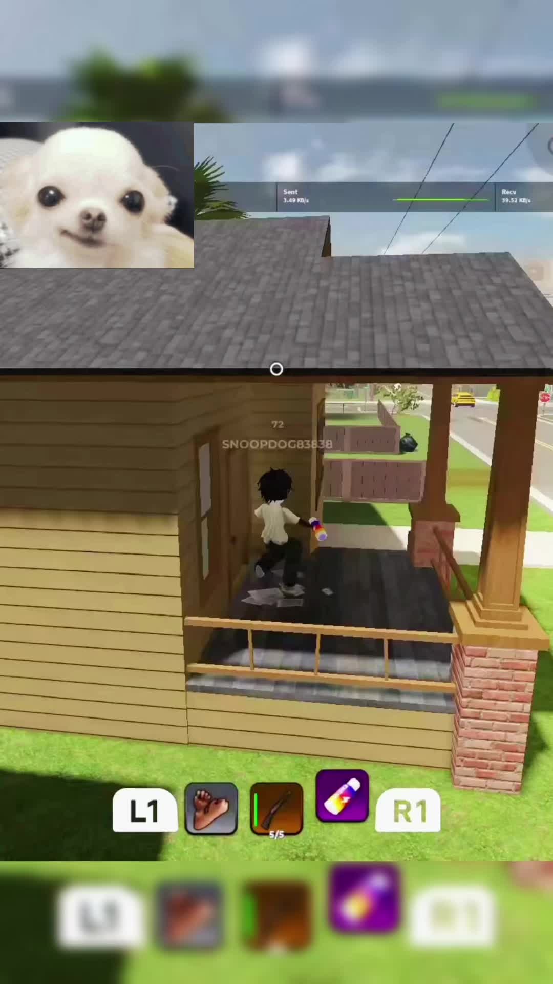 @snoopdog83838