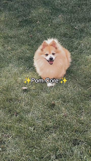 @𝕭𝖆𝖇𝖞 𝕲𝖍𝖔𝖘𝖙