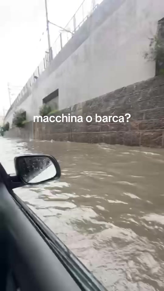 @ale foglia
