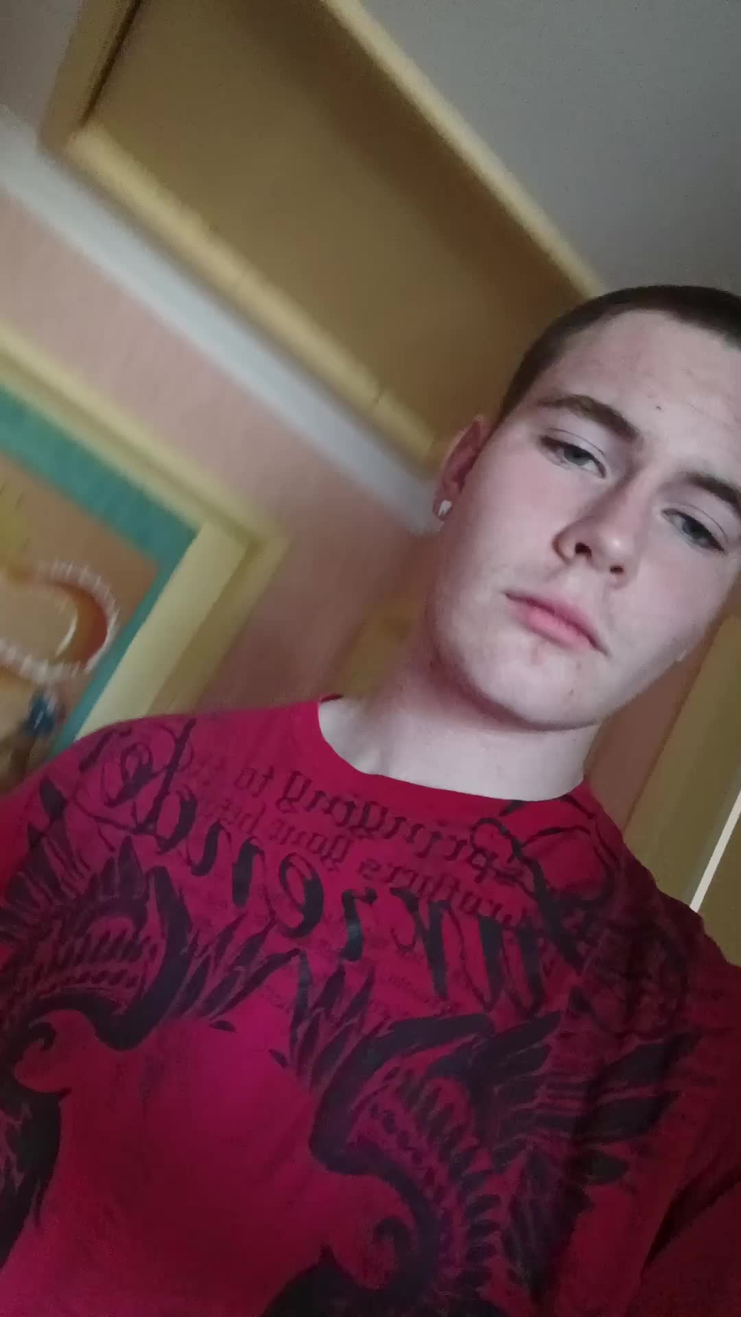 @olliedevoursconnecticut