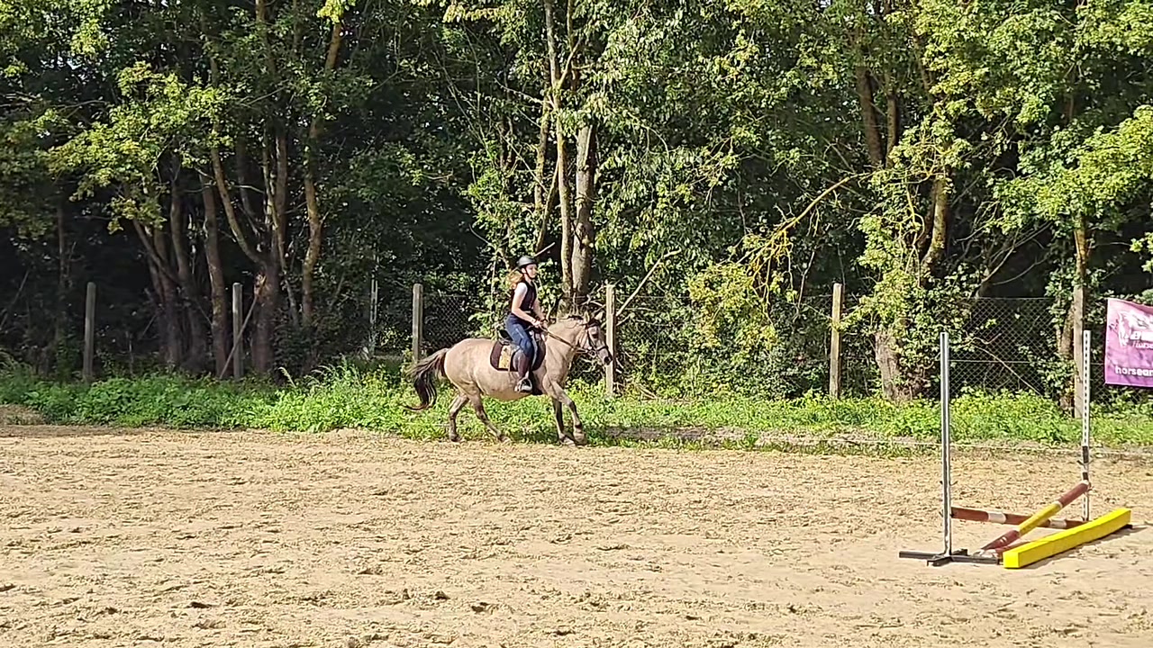 @Kaja_eq🐎🔝