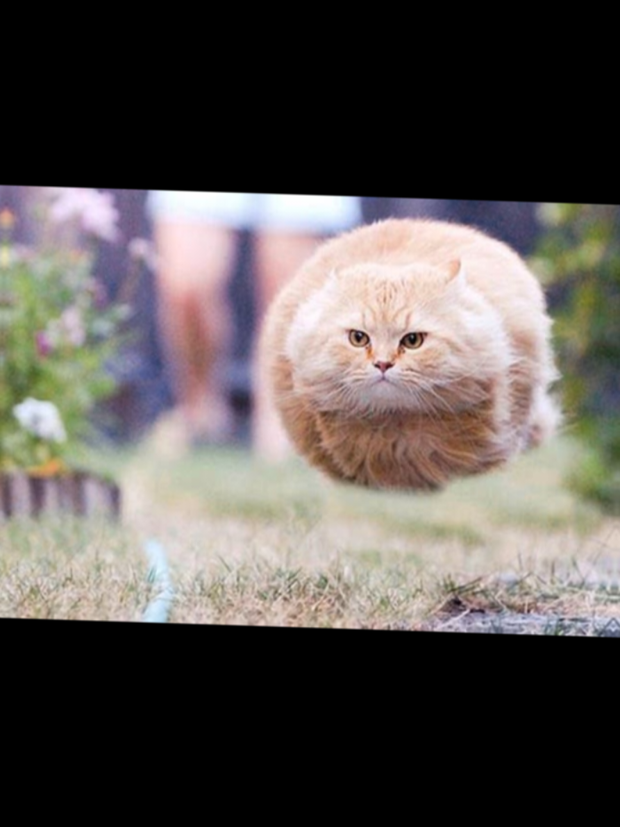 @𝙨𝙪𝙣𝙤𝙤